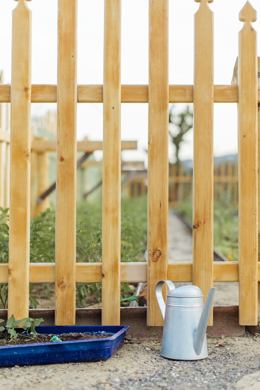Verzorgde tuin met houten hekwerk
